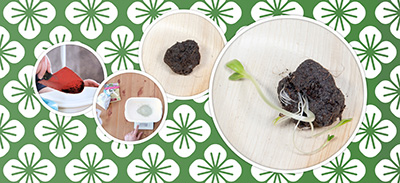 couverture de : V&eacute;g&eacute;talisez les espaces urbains avec des bombes de graines