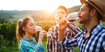 couverture de : Initiation &agrave; la d&eacute;gustation