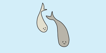 couverture de : M&eacute;diter avec les enfants