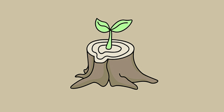 couverture de : Les fondamentaux