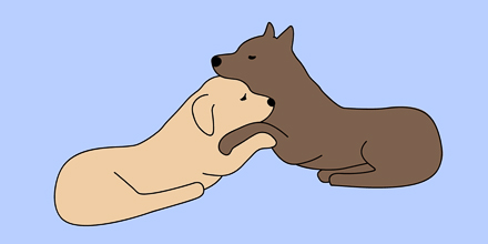 couverture de : Calmer l'anxi&eacute;t&eacute;