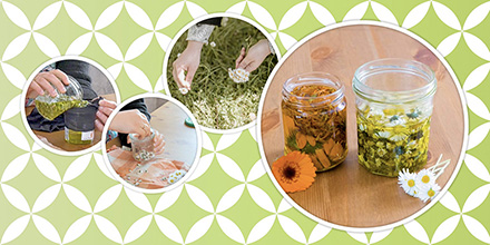 couverture de : D&eacute;couvrez la fabrication d'un mac&eacute;rat huileux pas &agrave; pas