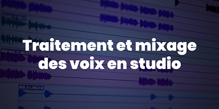 couverture de : Traitement et mixage des voix en studio