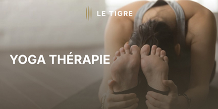 couverture de : Eliminer le stress Yoga th&eacute;rapie