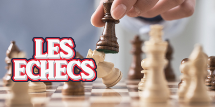 couverture de : Echecs