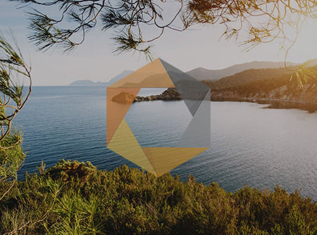 couverture de : Nik Collection : les Fondamentaux