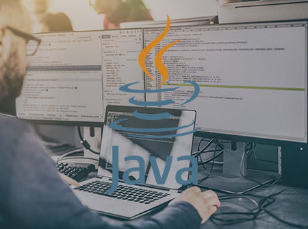 couverture de : D&eacute;velopper des applications web avec Java EE