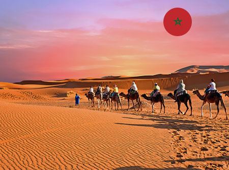 couverture de : Arabe marocain -Express