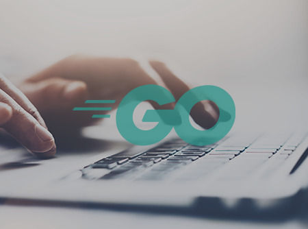 couverture de : Langage Go : les Fondamentaux