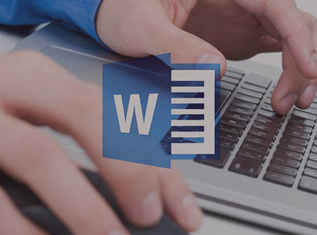 couverture de : Word 2016 : les Fondamentaux