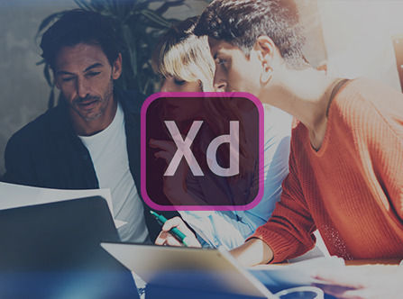 couverture de : Adobe XD : les Fondamentaux