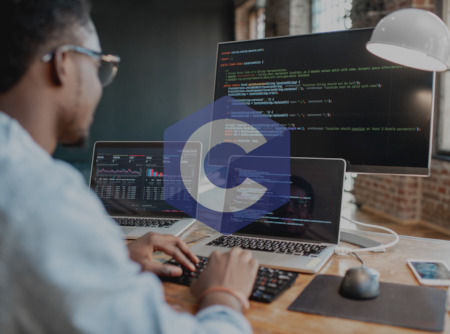 couverture de : Langage C : les Fondamentaux