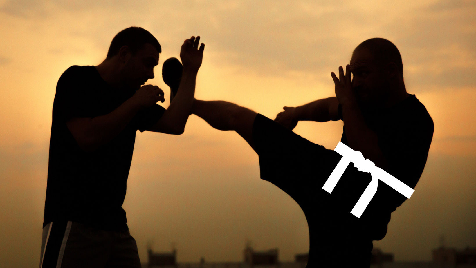 couverture de : Krav Maga : les fondamentaux (ceinture blanche)