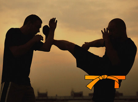 couverture de : Krav Maga : Ceinture orange