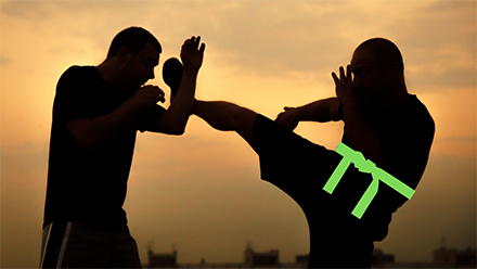 couverture de : Krav Maga : Ceinture verte