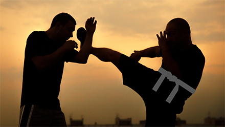 couverture de : Krav Maga : Ceinture noire