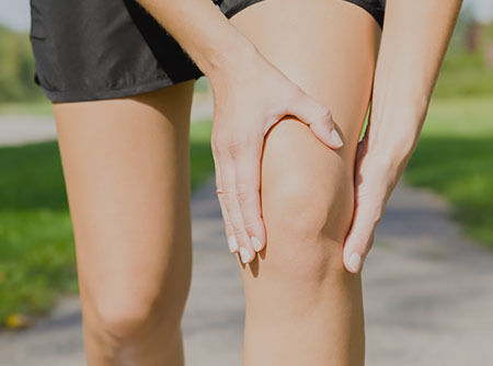 couverture de : Anatomie : le genou