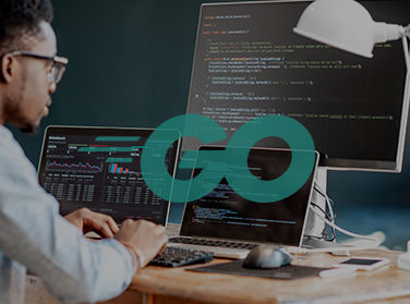 couverture de : Langage Go : le Web