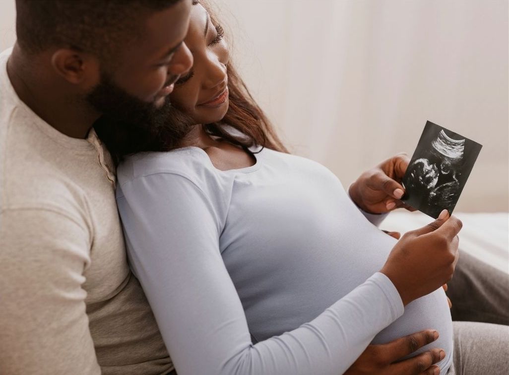 couverture de : La grossesse