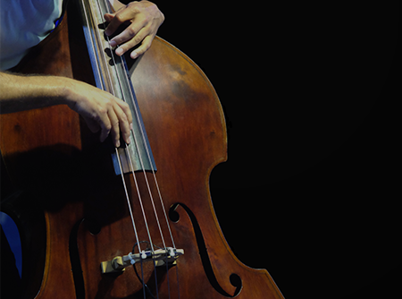 couverture de : Contrebasse : les Fondamentaux