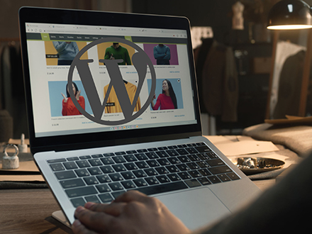 couverture de : WordPress et Gutenberg : techniques avanc&eacute;es