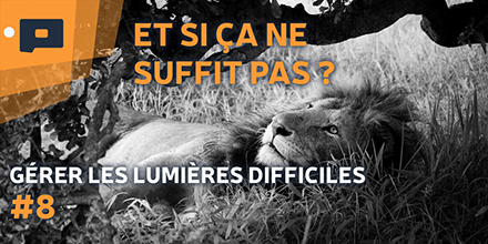 couverture de : G&eacute;rer les lumi&egrave;res difficiles | 08. Quand la lumi&egrave;re manq...