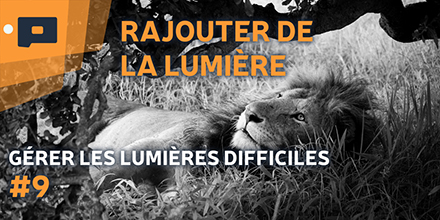 couverture de : G&eacute;rer les lumi&egrave;res difficiles | 09. Astuces pour ajouter ...