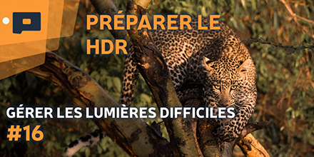 couverture de : G&eacute;rer les lumi&egrave;res difficiles | 16. Pr&eacute;parer le HDR &agrave; la ...