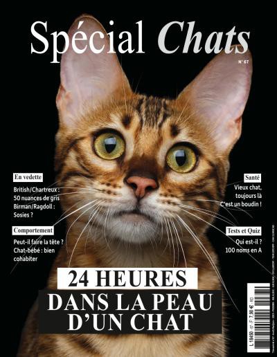 couverture de : Sp&eacute;cial chats