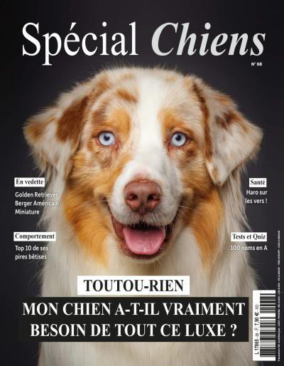 couverture de : Sp&eacute;cial chiens