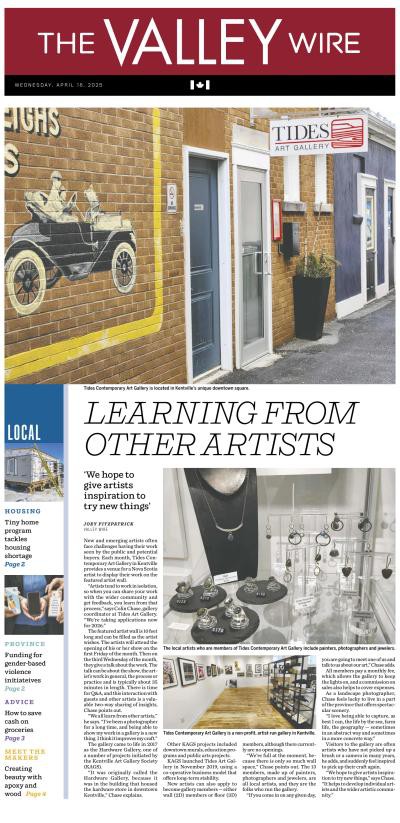 couverture de : The Valley Wire