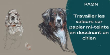 couverture de : Travailler les valeurs sur papier mi-teinte en dessinant ...