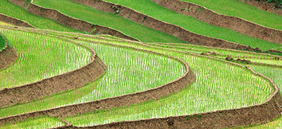 couverture de : Vietnamien | uTalk - Le B.A-BA pour voyager