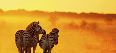 couverture de : Zoulou | uTalk - Le B.A-BA pour voyager