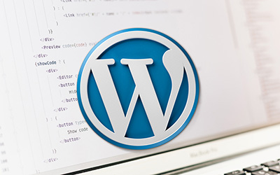 couverture de : WordPress - La cr&eacute;ation de plugin