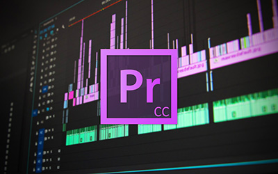couverture de : Premiere Pro CC - Lumetri : Ma&icirc;triser l'&eacute;talonnage num&eacute;rique
