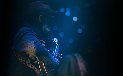 couverture de : Les riffs de Blues