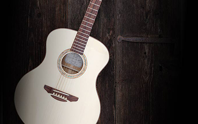 couverture de : Blues Acoustique