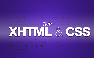 couverture de : XHTML & CSS - Les fondamentaux