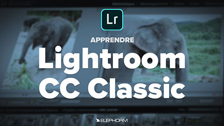 couverture de : Lightroom Classic CC - La gestion du catalogue