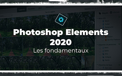 couverture de : Photoshop Elements 2020 | Les fondamentaux
