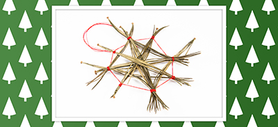 couverture de : Cr&eacute;ez de belles &eacute;toiles avec des &eacute;pines de pin