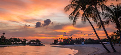 couverture de : Samoan | uTalk - Le B.A-BA pour voyager