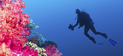 couverture de : Fidjien | uTalk - Le B.A-BA pour voyager