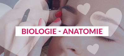 couverture de : Biologie - Anatomie